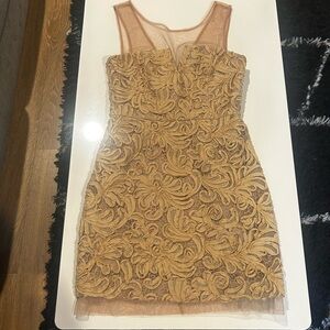 BCBGMaxAzria Nude Lace Sheath Dress with Illusion Neckline